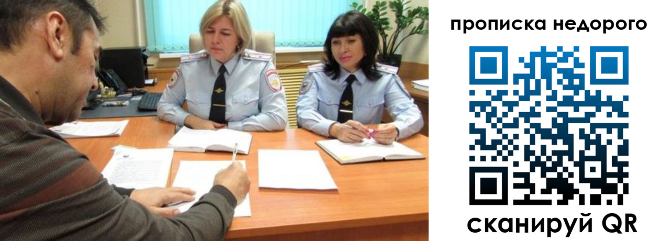 прописка поиск в Апатитах